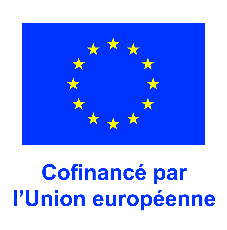 Cofinance par l Union europeenne medium